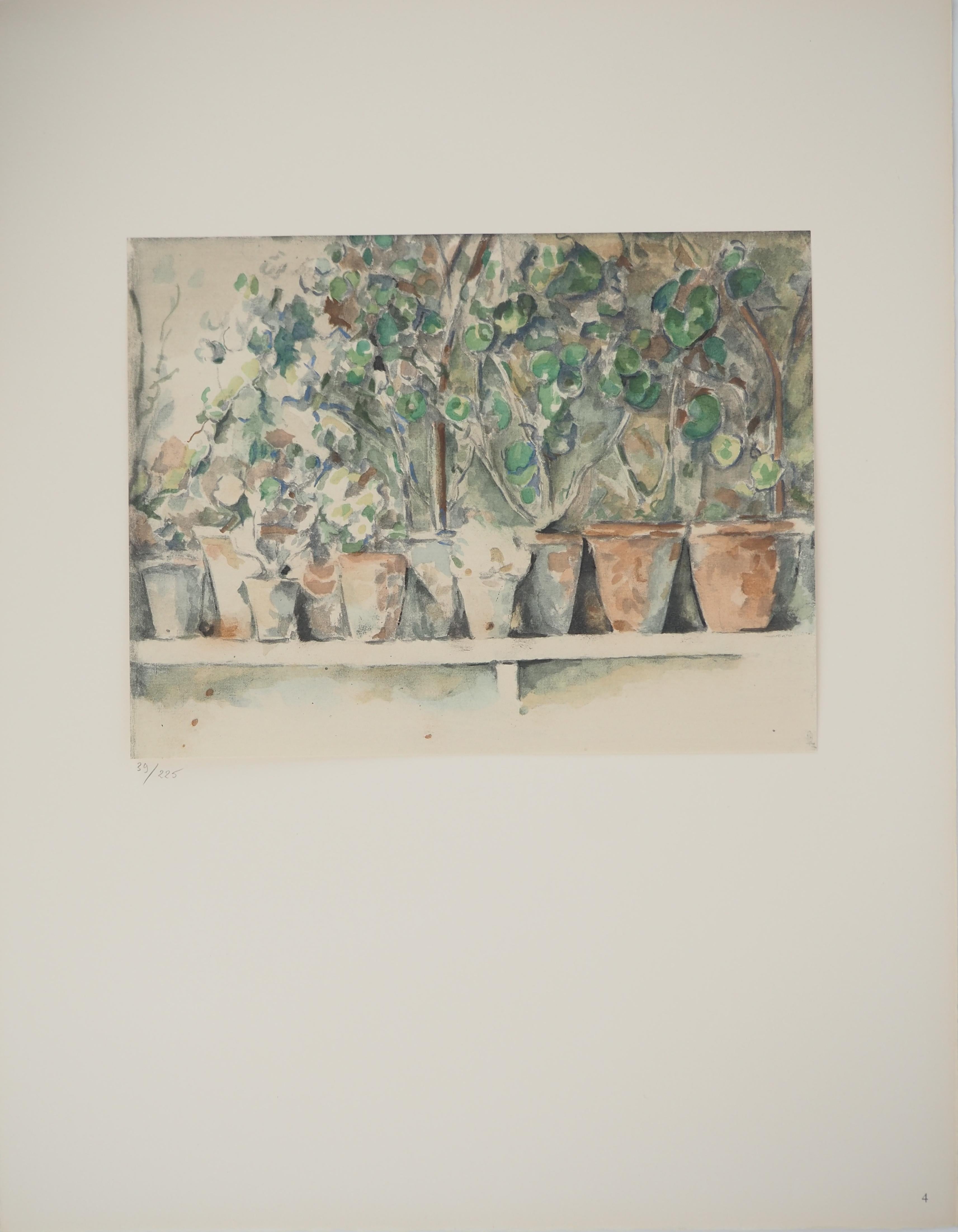 Geranien-Töpfe – Lithographie, 1971 – Print von Paul Cézanne