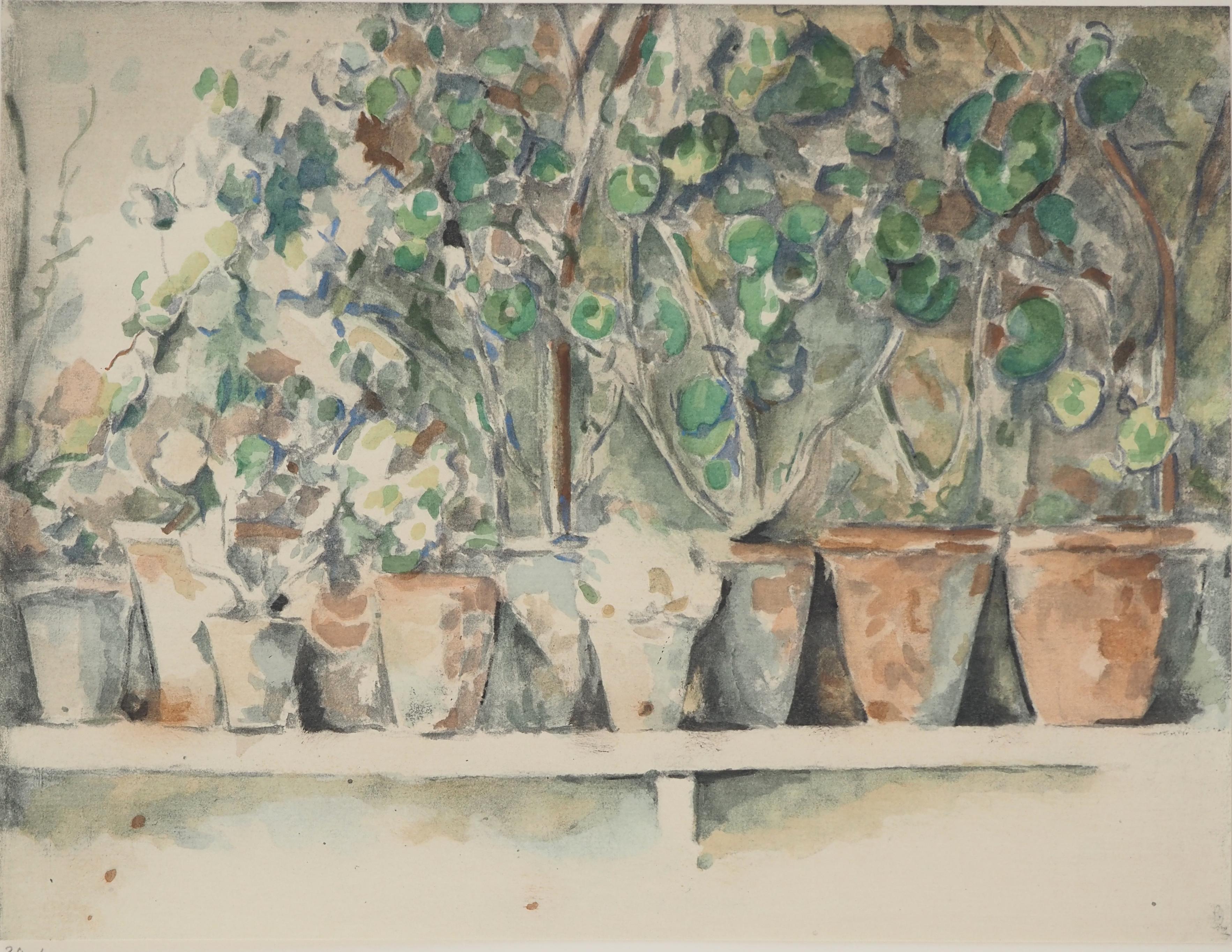 Still-Life Print Paul Cézanne - pots de Geranium, lithographie, 1971