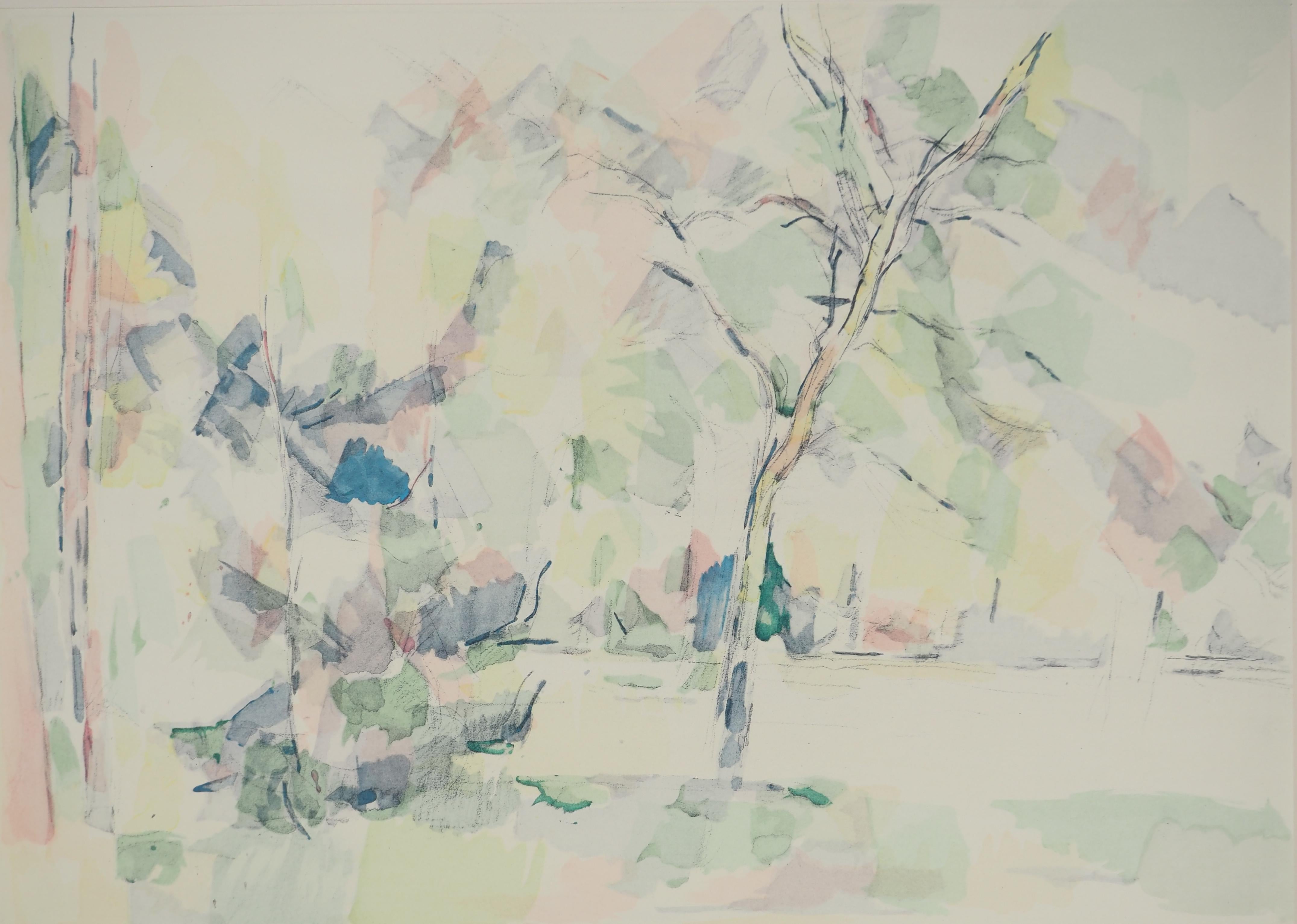 Provenza, En el bosque - Litografía, 1971 - Print de Paul Cézanne