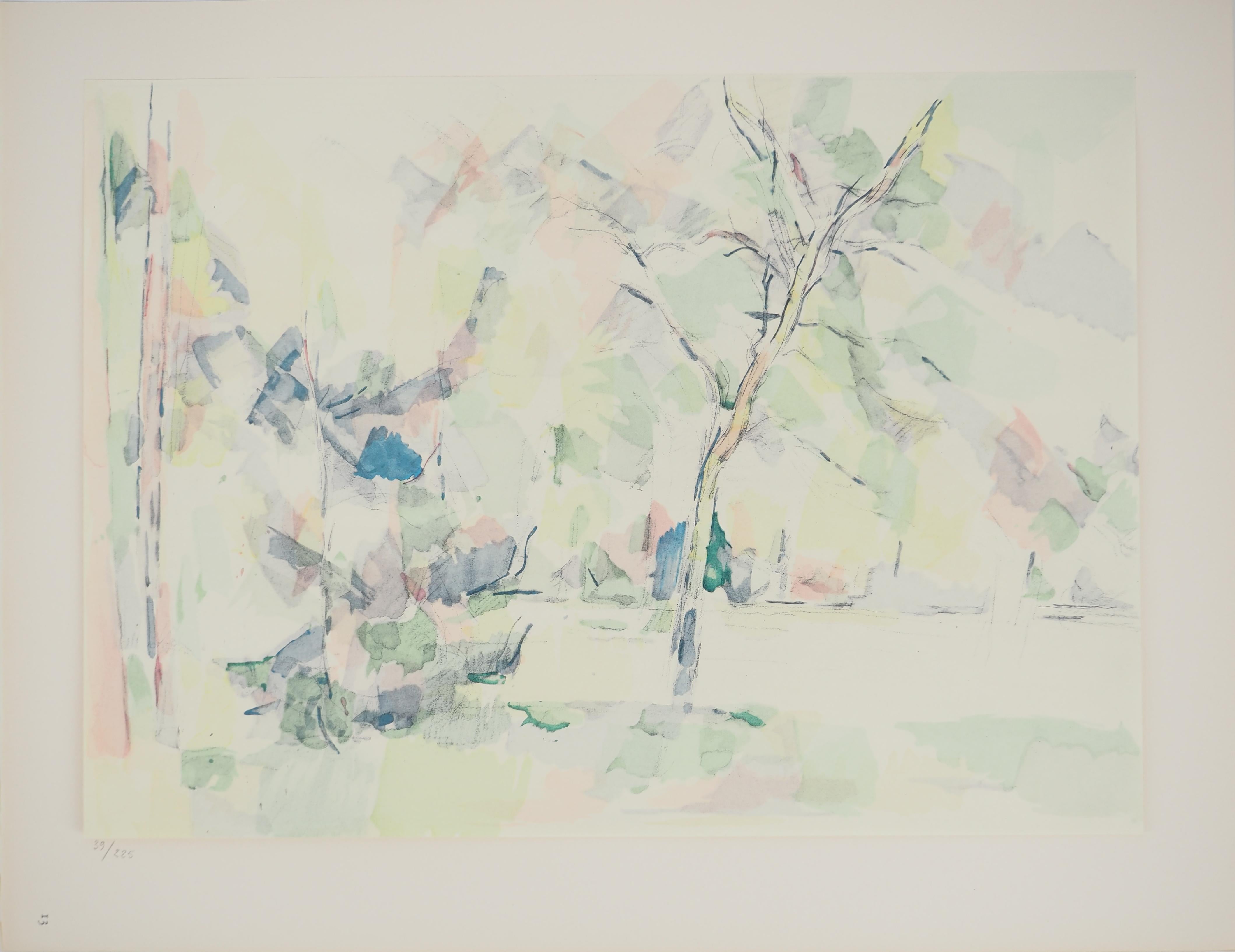 Paul Cézanne Landscape Print - Provence, Into the woods - Lithograph, 1971
