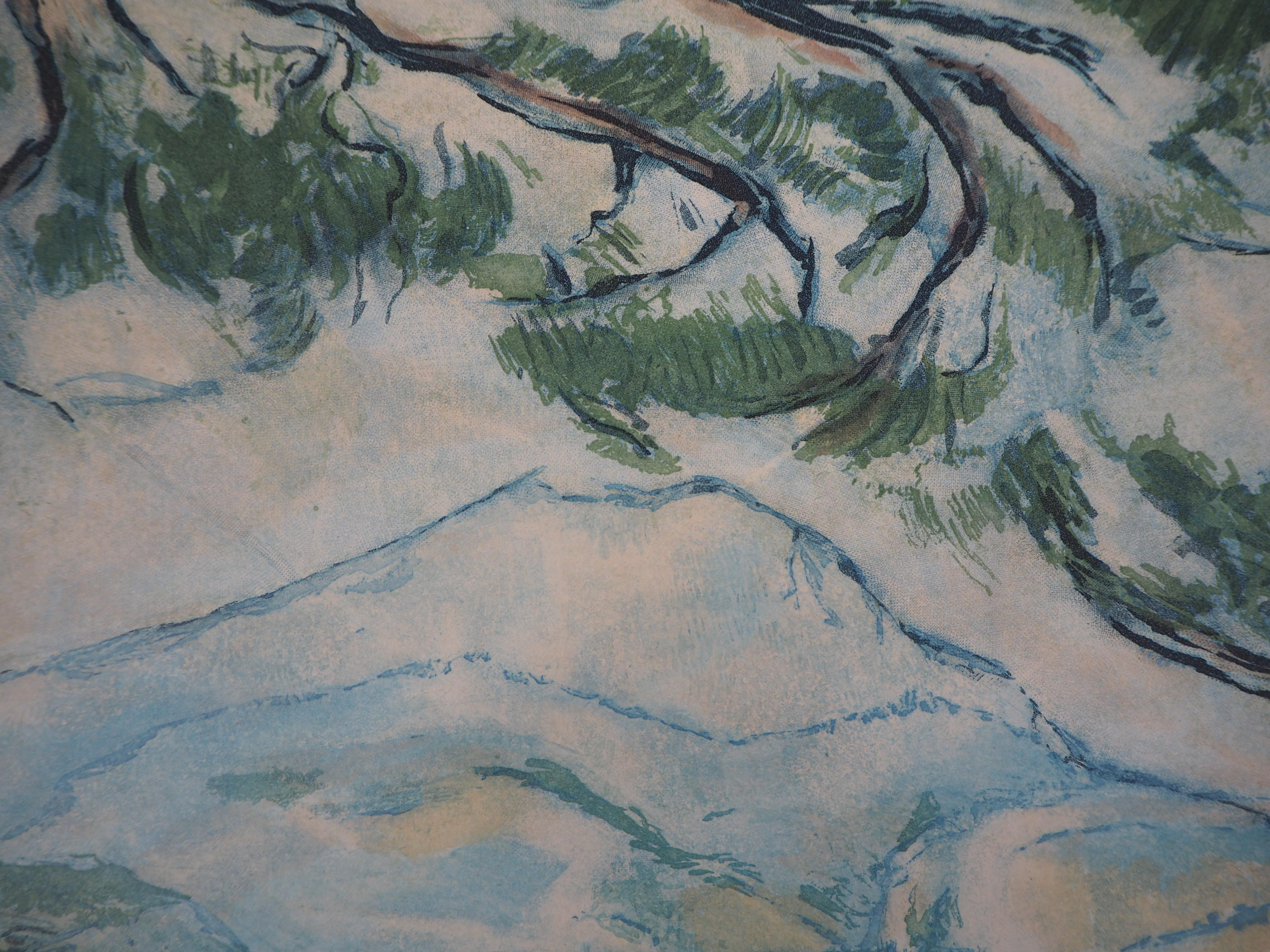 Provence : Sainte Victoire Mountain - Etching and aquatint engraved by J. Villon - Gray Landscape Print by Paul Cézanne