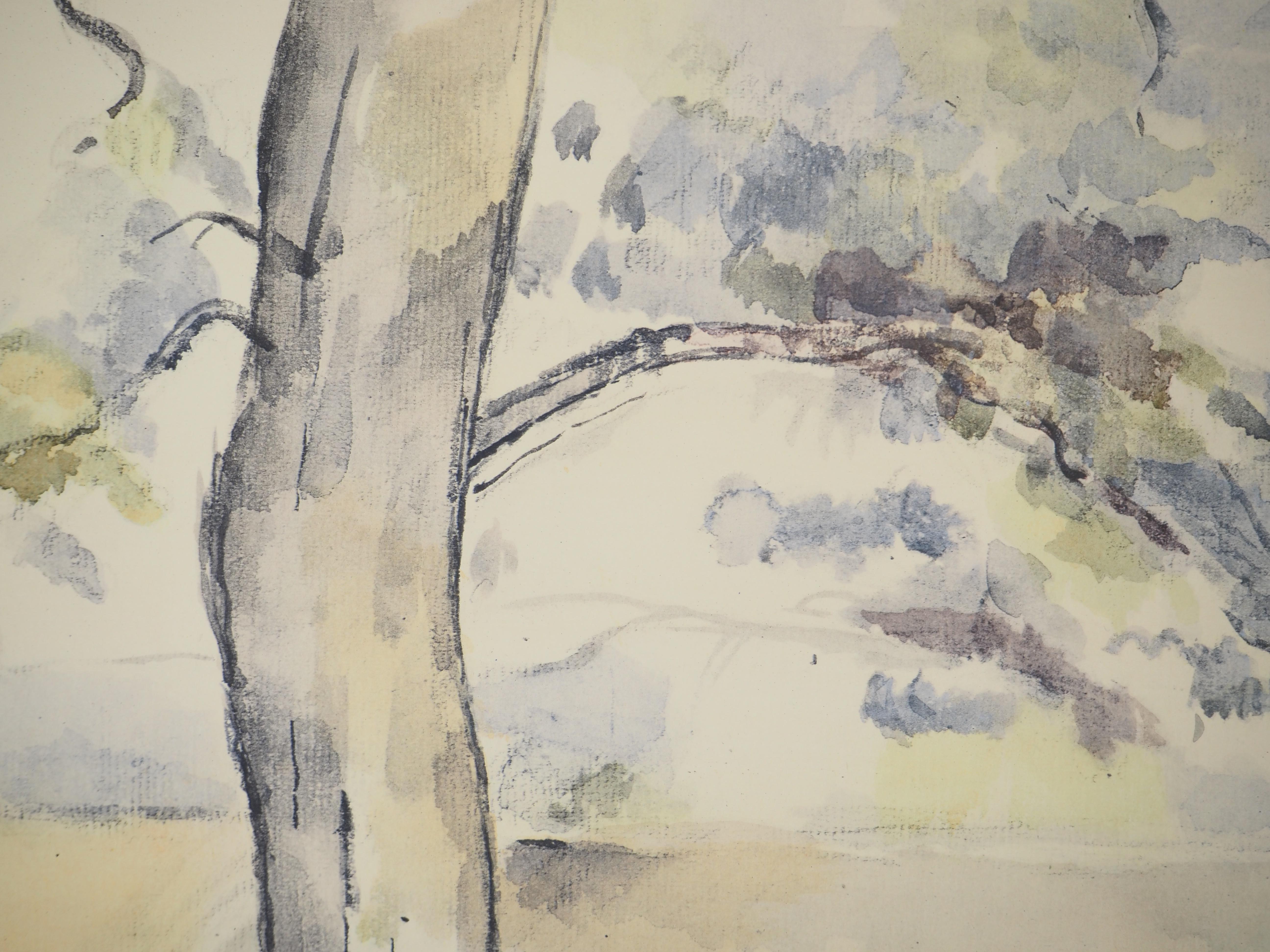 Kleiner französischer Garten – Lithographie, 1971 (Moderne), Print, von Paul Cézanne