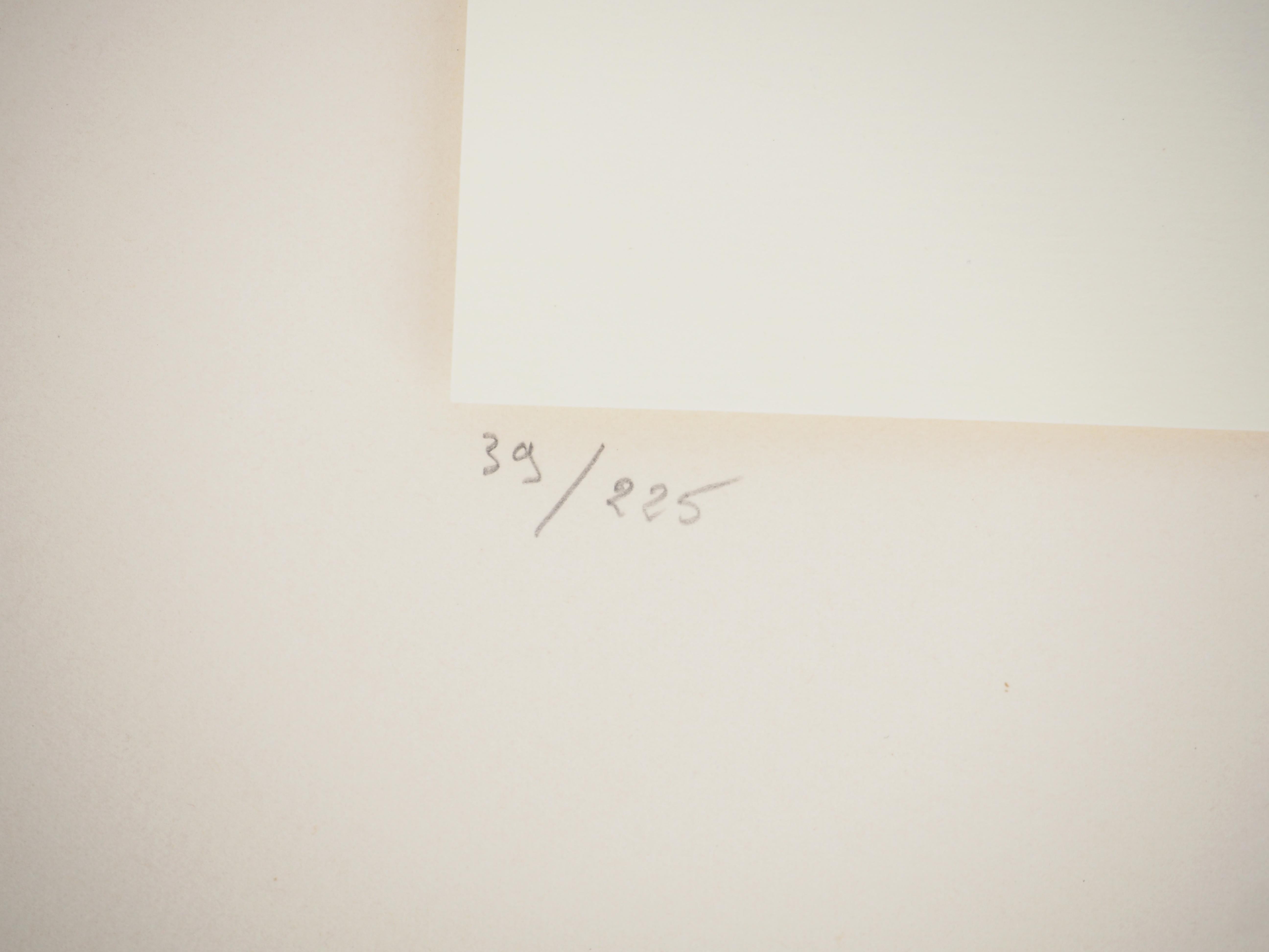 Naturaleza muerta, Rosas pálidas en un jarrón - Litografía, 1971 en venta 1