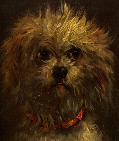 Portrait of a Dog, possibly a Maltese.