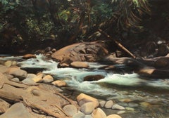 The Seymour River - limited edition print