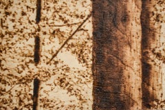In the Canopy (Intricate Burned and Scorched Forest Landscape on Birch Wood)