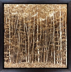 Birches: Edge of the Field 