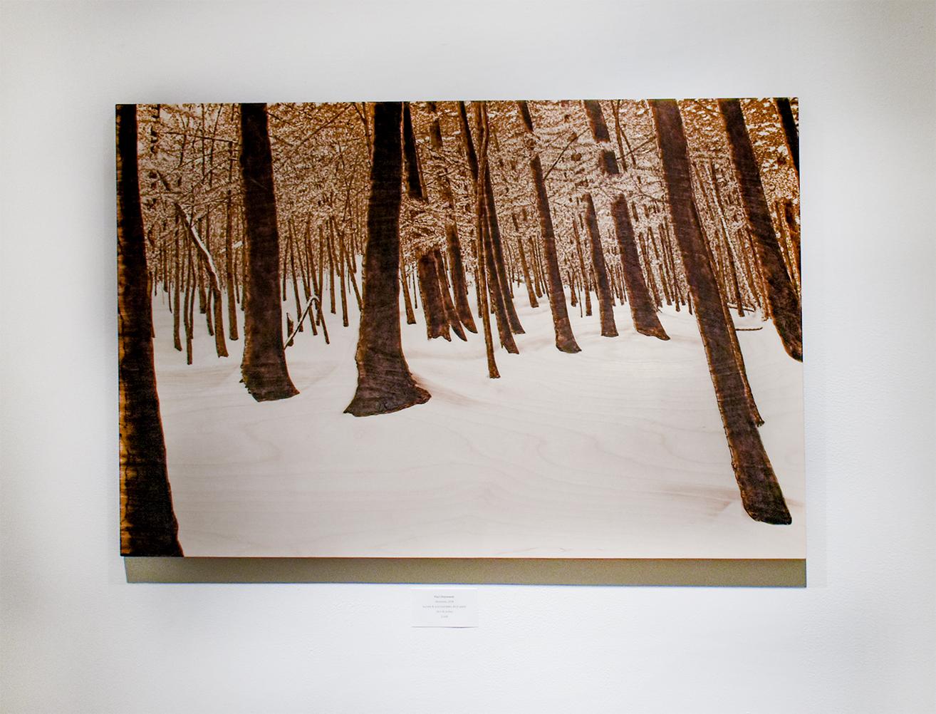 Hemlocks (Snowy Forest Landscape on Birch Wood Made with a Blowtorch) - Painting by Paul Chojnowski