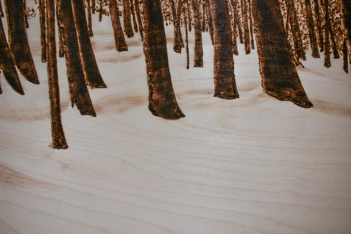Burned and scorched drawing on Baltic Birch panel of a Birch forest and snowy landscape
Made with a small blowtorch, naturally sepia toned 
24 x 36 inches unframed
The sides are burned a dark umber so framing is not necessary
Ready to hang as