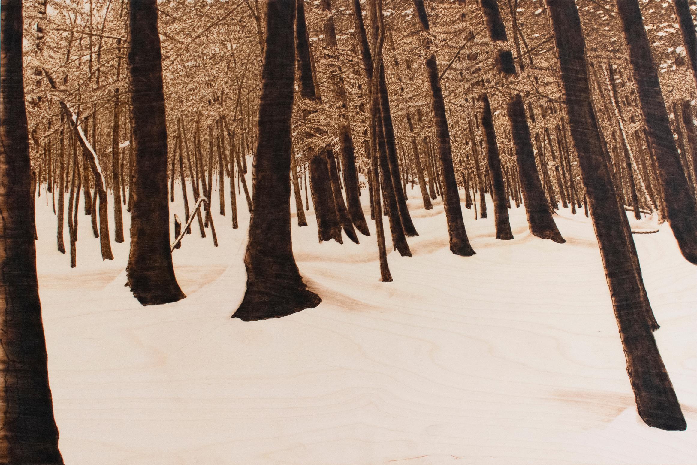 Paul Chojnowski Landscape Painting - Hemlocks (Snowy Forest Landscape on Birch Wood Made with a Blowtorch)