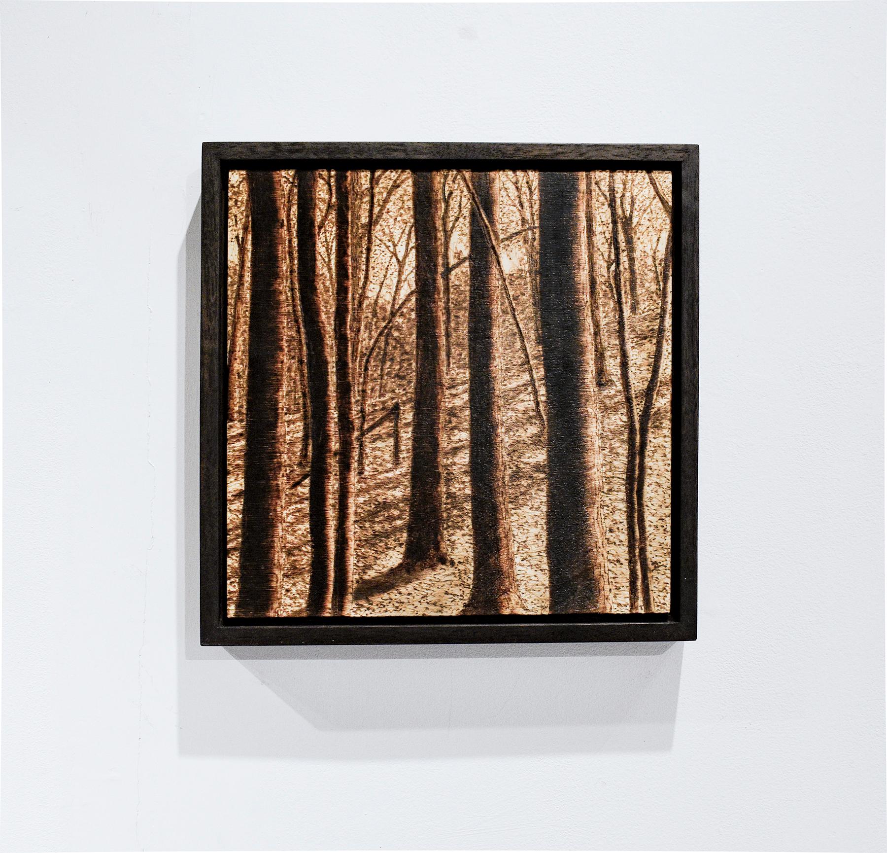 Late Afternoon Summer (Forest Landscape, Burned and Scorched Wood Drawing) - Painting by Paul Chojnowski