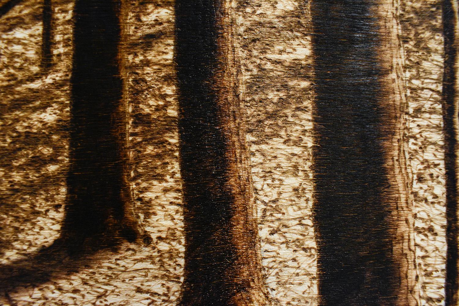Late Afternoon Summer (Forest Landscape, Burned and Scorched Wood Drawing) - Contemporary Painting by Paul Chojnowski