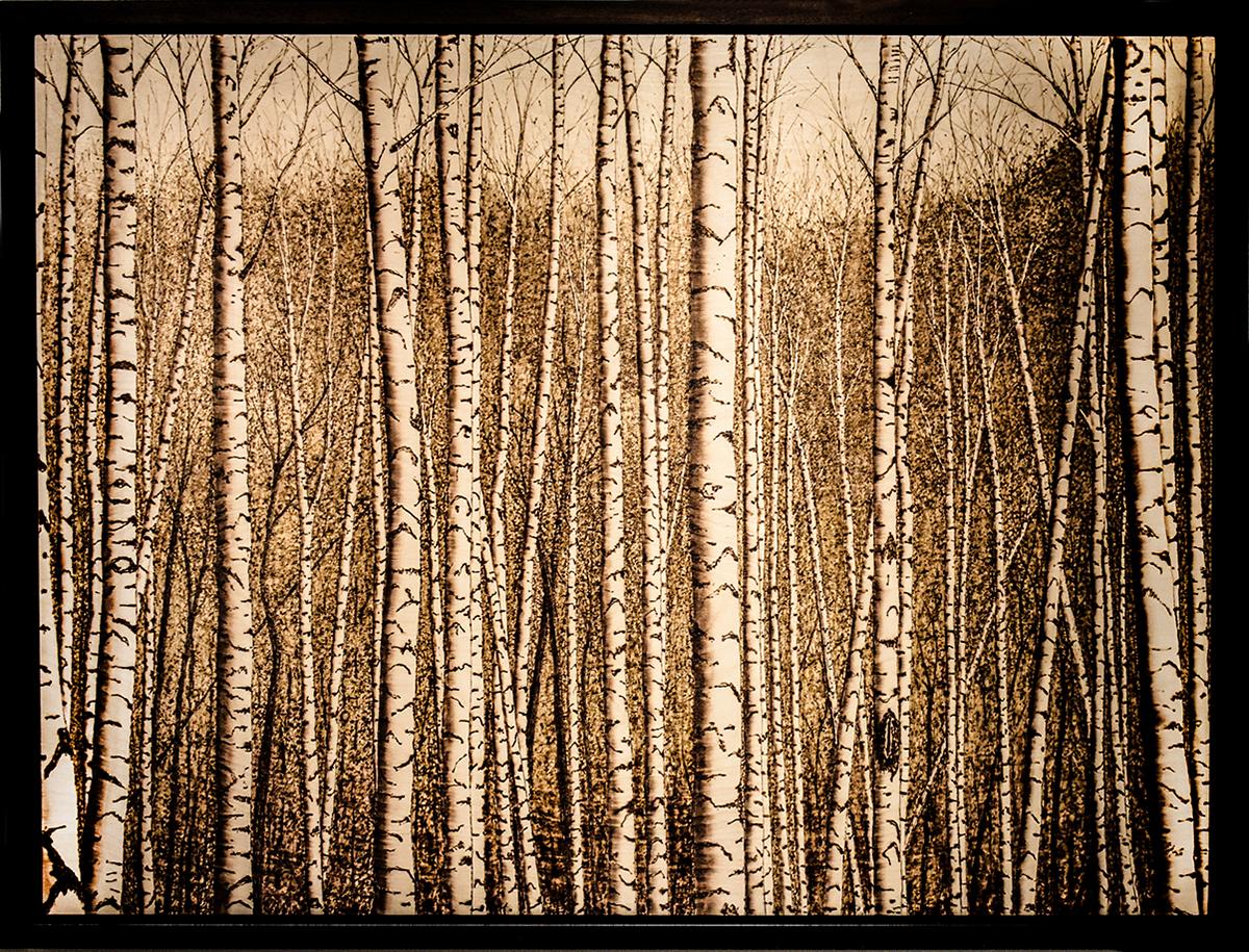 Moutain Birches (Realistic Landscape of a Birch Forest, Burned Drawing on Panel) - Art by Paul Chojnowski