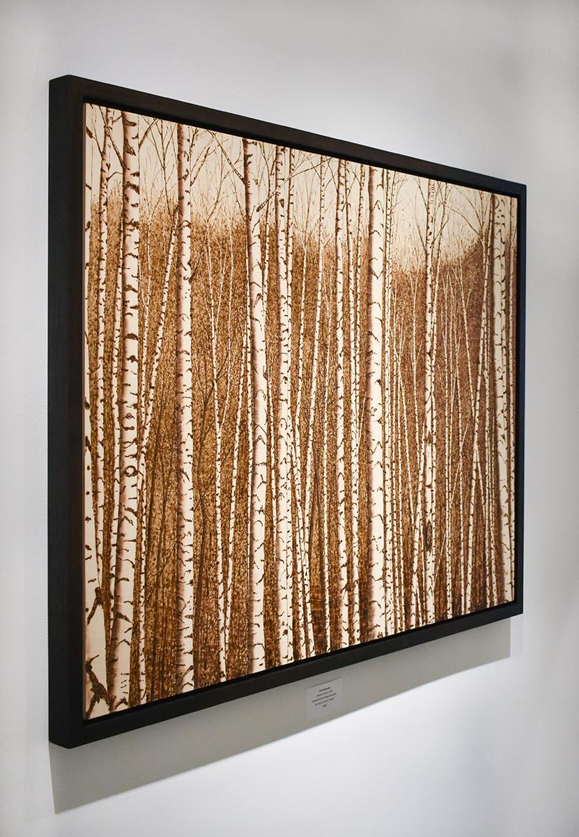 birch forest drawing