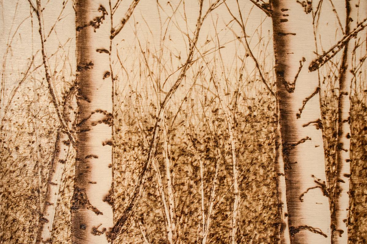 Moutain Birches (Realistic Landscape of a Birch Forest, Burned Drawing on Panel) - Modern Art by Paul Chojnowski