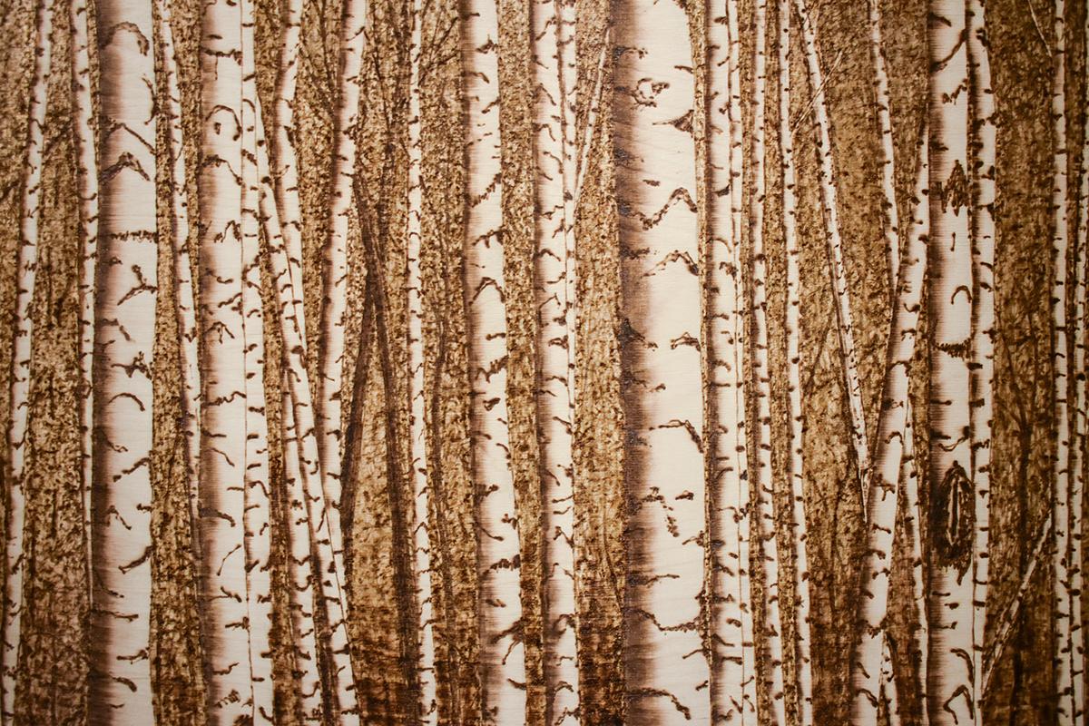 Moutain Birches (Realistic Landscape of a Birch Forest, Burned Drawing on Panel) - Brown Landscape Art by Paul Chojnowski