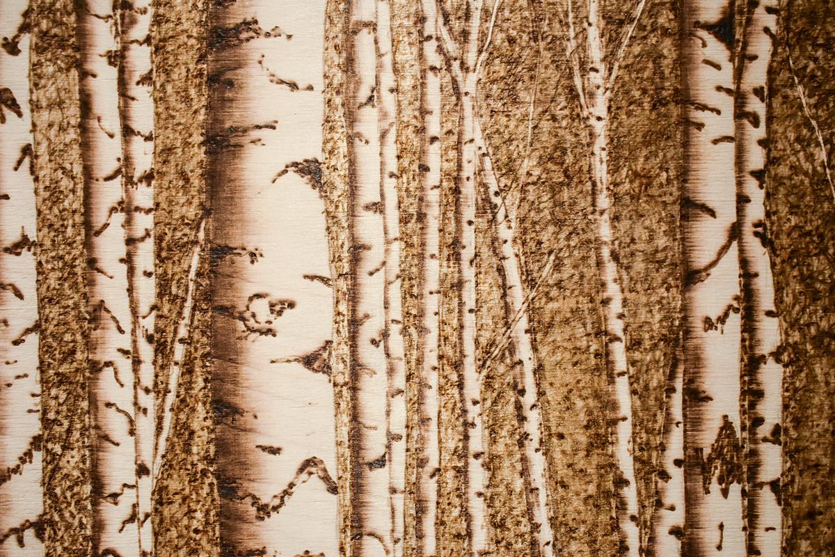 Realistic landscape of a Birch forest on Baltic Birch panel made with a blow torch
Burned drawing on panel, naturally sepia toned 
30 x 40 inches unframed
32.5 x 42.5 inches in custom wood frame
Signed on reverse

Perhaps the single most fascinating