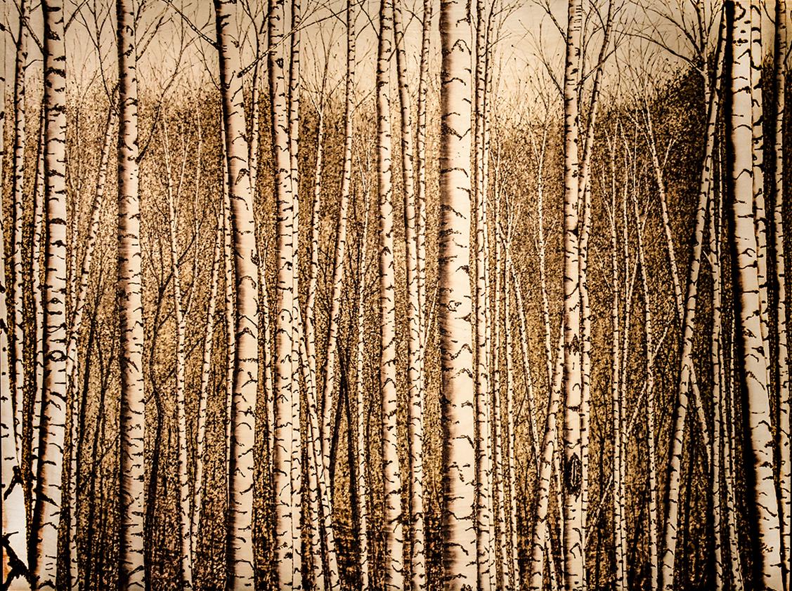 Paul Chojnowski Landscape Art - Moutain Birches (Realistic Landscape of a Birch Forest, Burned Drawing on Panel)