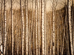 Moutain Birches (Realistic Landscape of a Birch Forest, Burned Drawing on Panel)