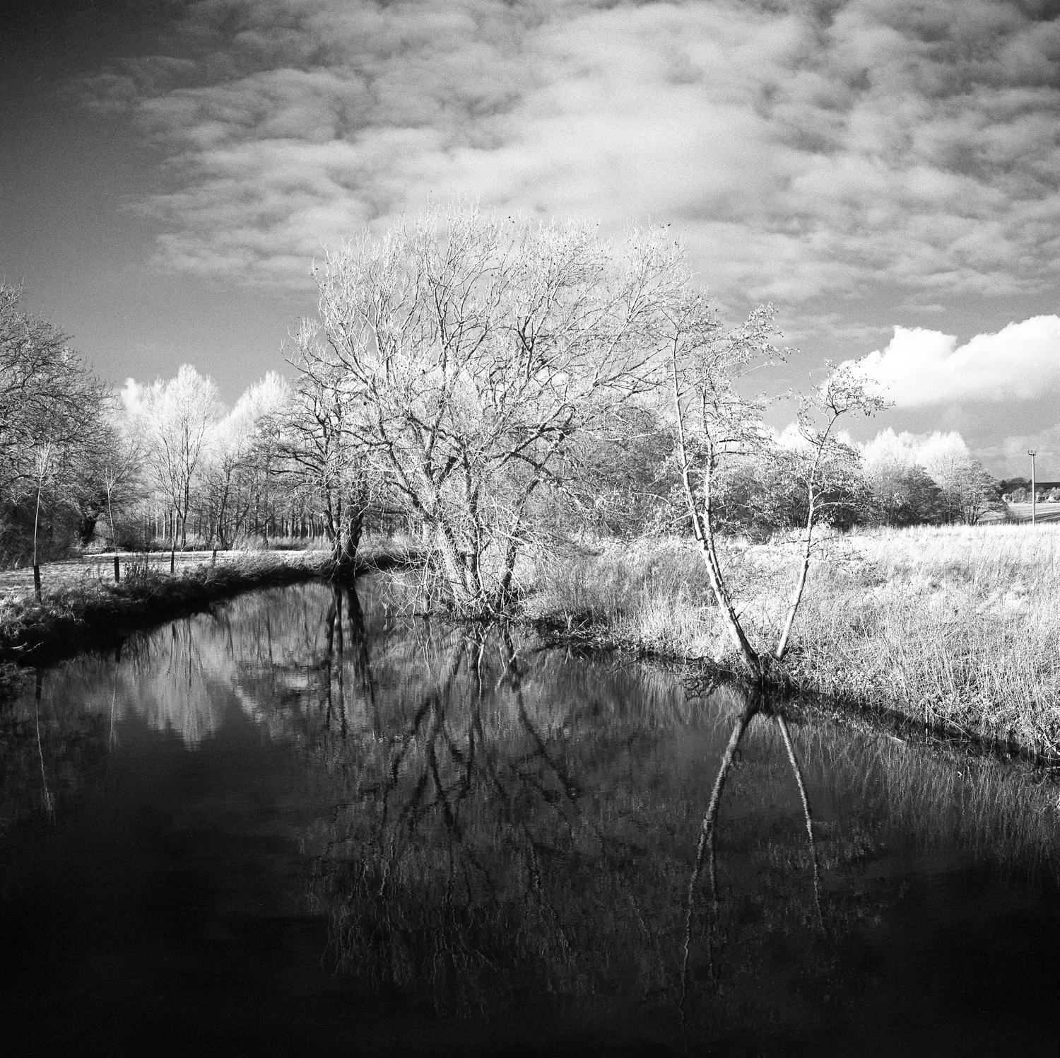 Paul Cooklin Black and White Photograph - Edition 1/10 - Alder Carr, Suffolk, Silver Gelatin Photograph