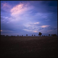 Edition 1/10 - Dusk, Occold, Suffolk Photograph, 2015