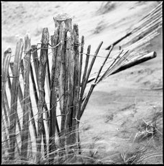 Edition 1/10 - Fence I, Dawlish Warren, Devon Photograph, 2010