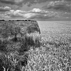 Edition 1/10 - Flixton, Suffolk Photograph, 2013