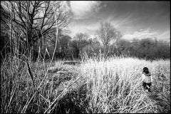 Edition 1/10 - Grass Clearing, Thorndon, Suffolk Photograph, 2015
