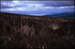 Edition 1/10 - Grassland Heathland, Exmoor, North Devon, C-Typ-Fotografie