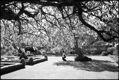 Edition 1/10 - Light, Helmingham Hall Gardens, Silver Gelatin Photograph
