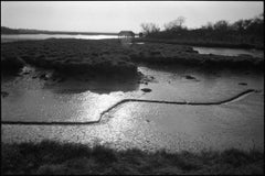 Edition 1/10 - Mud Lines, Alresford Creek Photograph, 2015