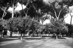 Edition 1/10 - Parco Savello, Rome, Italy - Silver Gelatin Photograph, 2025