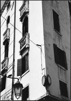 Edition 1/10 - Pigeon, Architecture, Venice, Italy Photograph, 2009