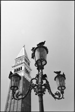 Edición 1/10 - Palomas, Plaza de San Marcos, Venecia, Fotografía en gelatina de plata