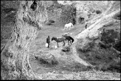 Edition 1/10 - Ponies & Donkeys, The Marinid, Fes, Silver Gelatin Photograph