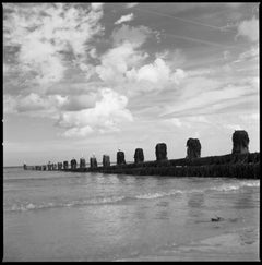 Edizione 1/10 - Gabbiani su Sea Groynes, Cromer Beach, North Norfolk Fotografia