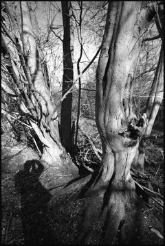 Edition 1/10 - Shadow Selfie, Thorndon Woodland, Suffolk Photograph, 2015