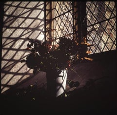 Edition 1/10 - Silence II Photograph, 2015