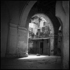Edition 1/10 - Sleeping Dog, Havana, Cuba Photograph, 2010