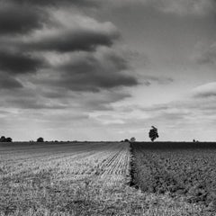 Edición 1/10 - La línea divisoria, Fotografía de Suffolk, 2010