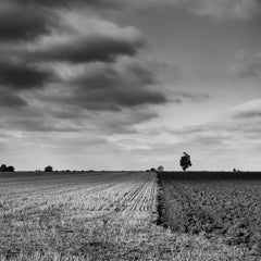 Edition 1/10 - The Dividing Line, Suffolk, Silber-Gelatinefotografie in Silber