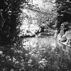 Edition 1/10 - The Pennings, Suffolk Photograph, 2013