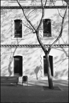 Edition 1/10 - Tree and Windows, Barcelona, Spain Photograph, 2016