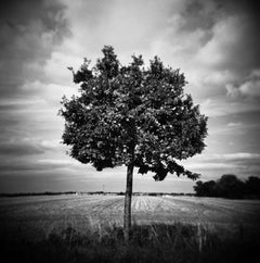 Edition 1/10 - Tree, Occold Farm, Suffolk, Silver Gelatin Photograph