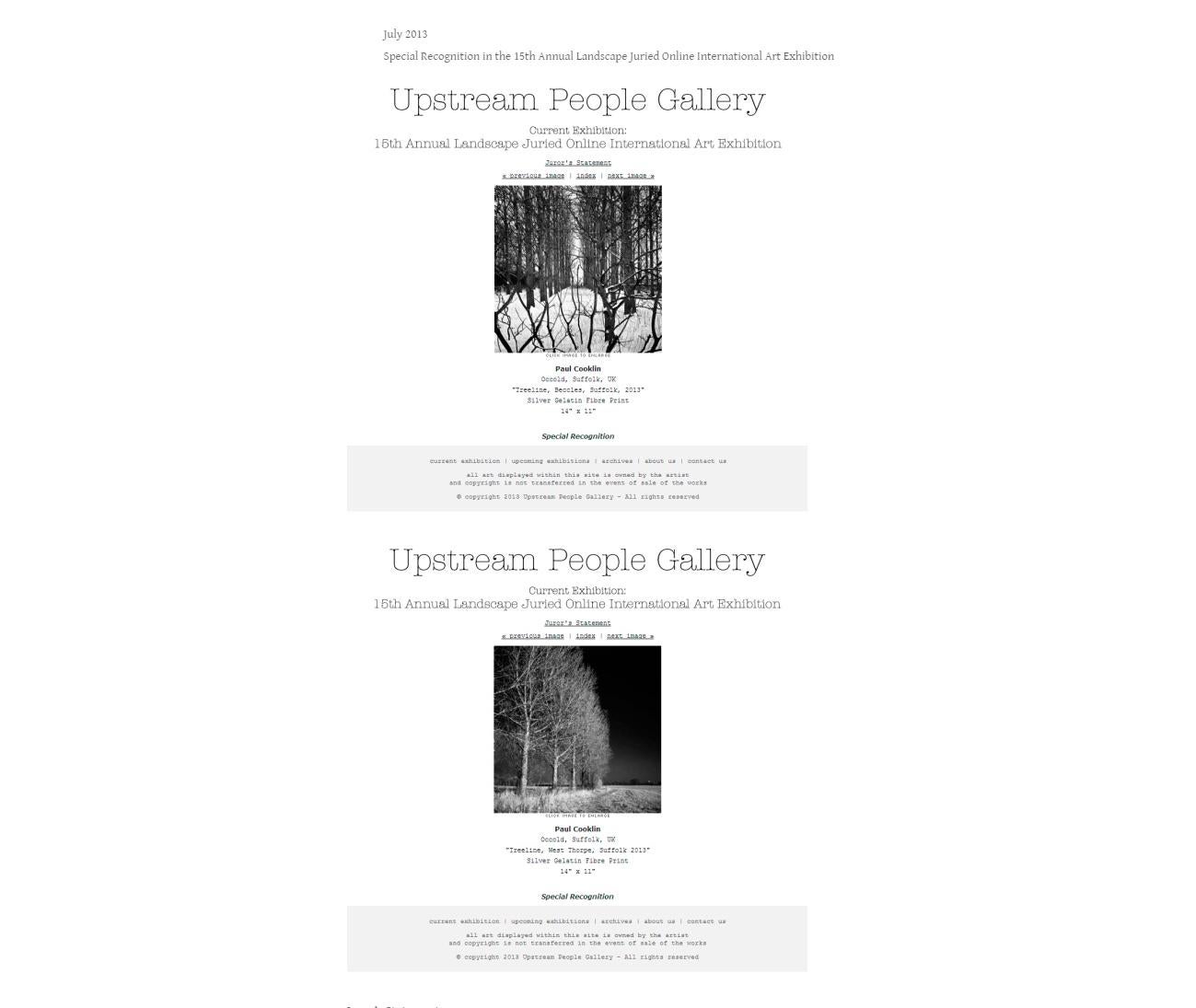 Ausgabe 1/10 - Wurzeln und Äste eines Baumes, Silbergelatine-Fotografie im Angebot 5