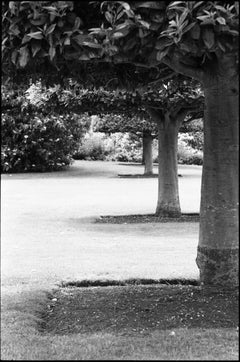Edition 1/10 - Treeline, Anglesey Abbey Photograph, 2015