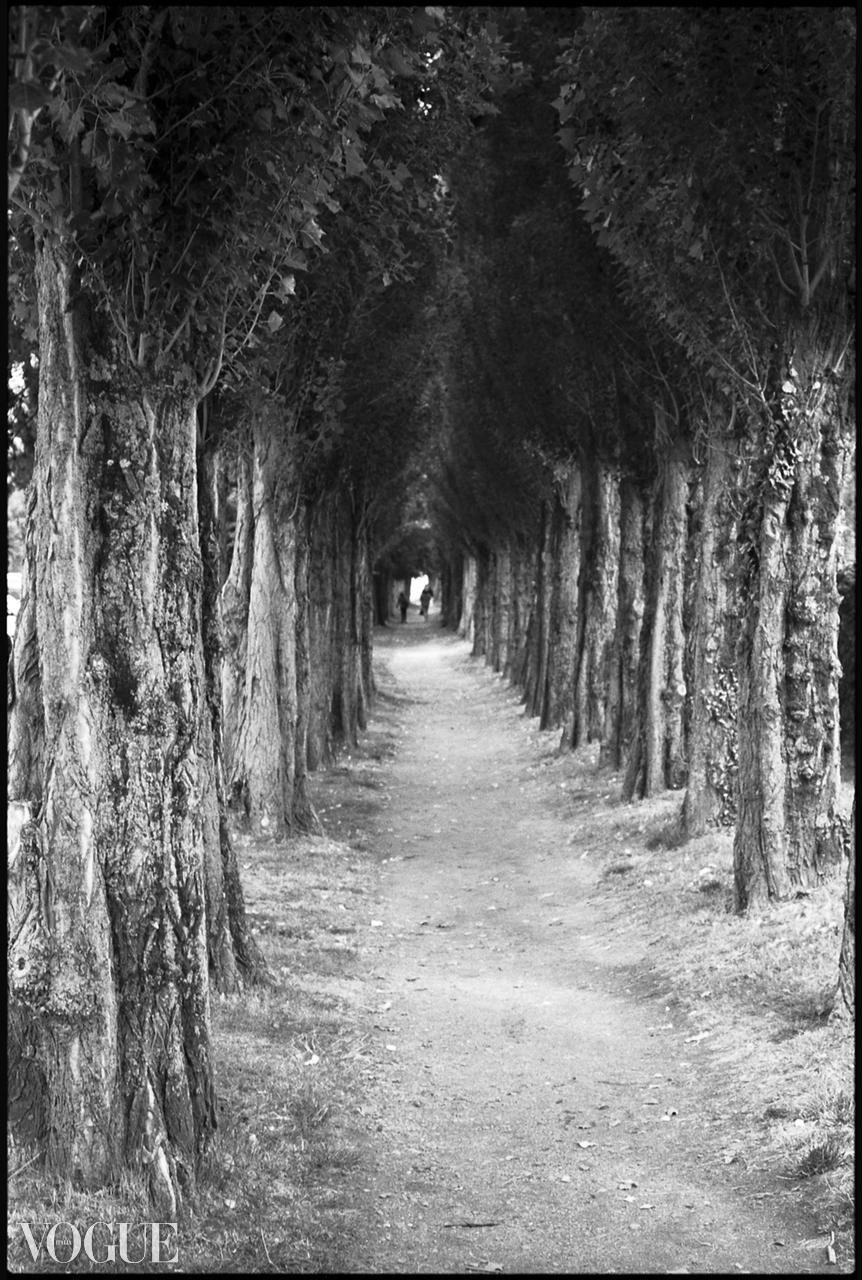 Paul Cooklin Landscape Photograph - Edition 1/10 - Treeline, Honfleur, France, Silver Gelatin Photograph
