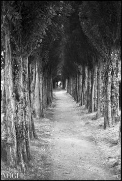 Edition 1/10 - Treeline, Honfleur, France, Silver Gelatin Photograph