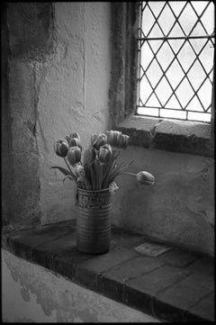 Edición 1/10 - Tulipanes, Santa María Magdalena, Debenham Fotografía, 2015