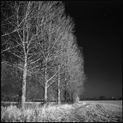 Edition 1/10 - West Thorpe I, Suffolk [Infrared Film] Photograph, 2013